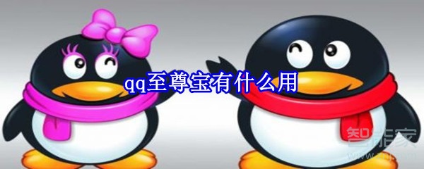 qq至尊寶有什么用