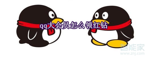 qq大會員怎么領紅鉆