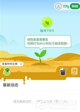 支付寶怎么在線上查看種樹(shù) 支付寶查看種樹(shù)的操作介紹