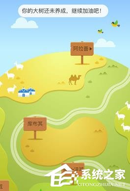 支付寶怎么在線上查看種樹(shù) 支付寶查看種樹(shù)的操作介紹