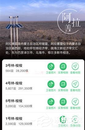 支付寶怎么在線上查看種樹(shù) 支付寶查看種樹(shù)的操作介紹