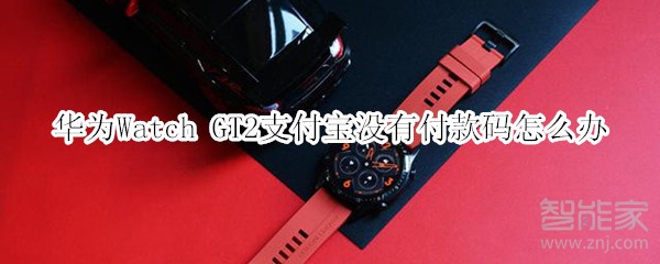 華為Watch GT2支付寶沒有付款碼怎么辦