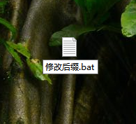 Win10電腦怎么修改文件的后綴名？Win10電腦修改文件后綴名的方法