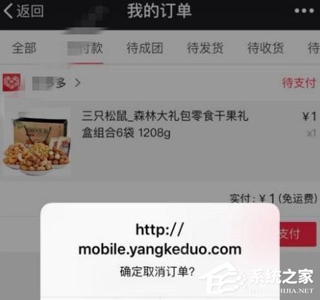 拼多多拼單如何取消 拼多多正在拼單中取消方法