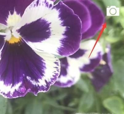 微信朋友圈怎么@所有人