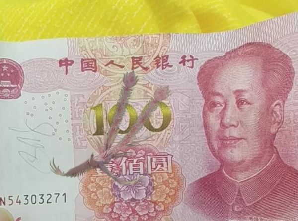 怎么能用QQ看到100元人民幣里的吉祥鳳凰？
