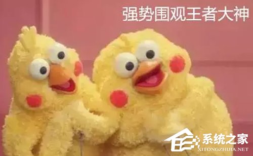 怎么在QQ空間顯示王者榮耀段位?