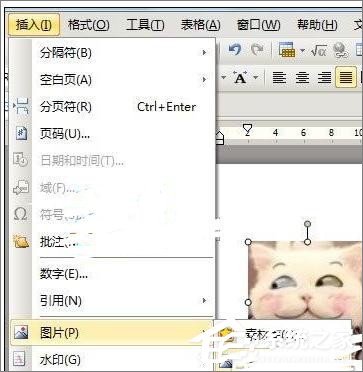 WPS文字怎么制作自定義模板?WPS制作自定義模板的方法