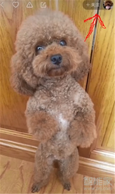 快手上的特別關(guān)注是什么意思