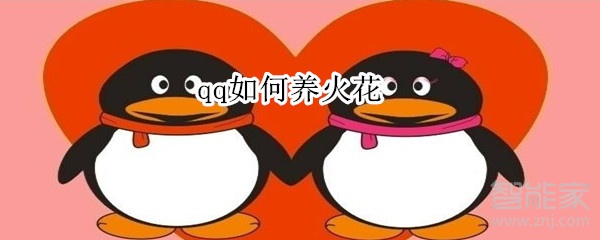 qq如何養(yǎng)火花
