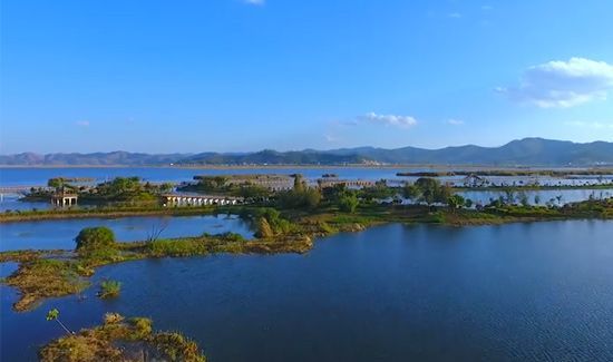 C、C++、Java到Python,編程入門學習什么語言比較好