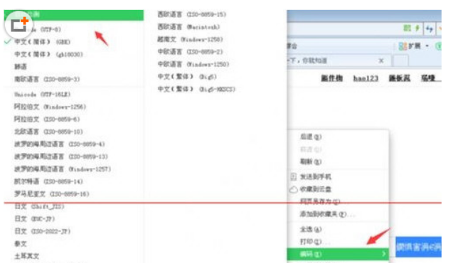 百度瀏覽器中出現打開亂碼怎么辦？出現打開亂碼解決方法一覽