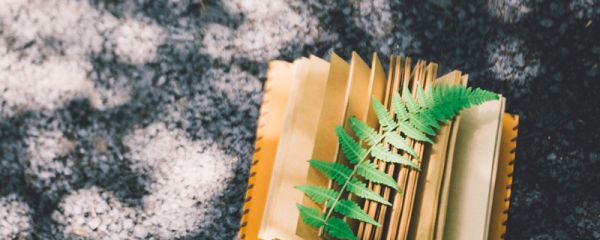 一句簡短的風景句子 一句簡短的風景句子發朋友圈