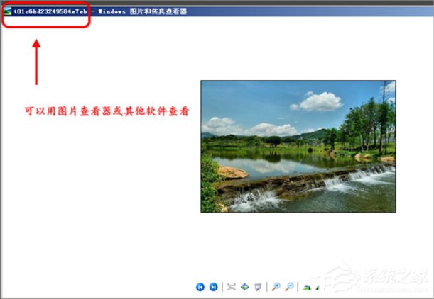 WinXP縮略圖不顯示文件名怎么辦?
