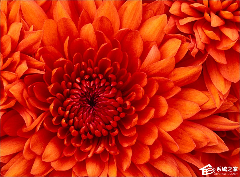 Win7屏保怎么設(shè)置?Win7屏幕保護程序如何打開?