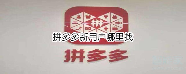 拼多多新用戶哪里找