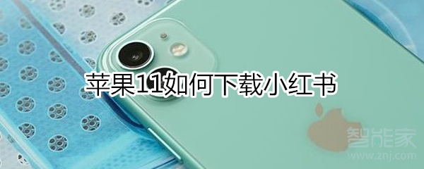 蘋(píng)果11如何下載小紅書(shū)