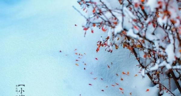 又是一年小寒日，小寒詩(shī)詞你可知？朋友圈文案有著落了