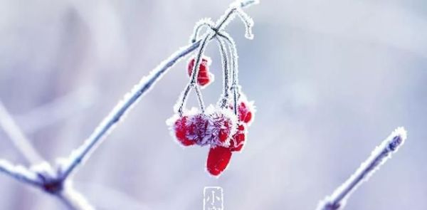 又是一年小寒日，小寒詩(shī)詞你可知？朋友圈文案有著落了