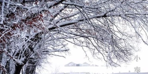 又是一年小寒日，小寒詩(shī)詞你可知？朋友圈文案有著落了