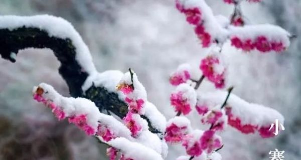 又是一年小寒日，小寒詩(shī)詞你可知？朋友圈文案有著落了