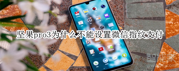 堅果pro3為什么不能設置微信指紋支付