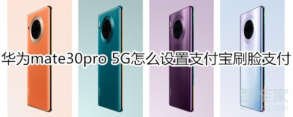 華為mate30pro 5G版怎么設置支付寶刷臉支付