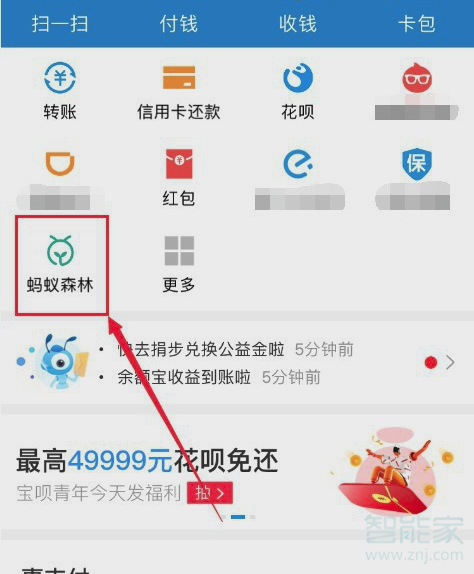支付寶螞蟻森林怎么換樹(shù)的圖案