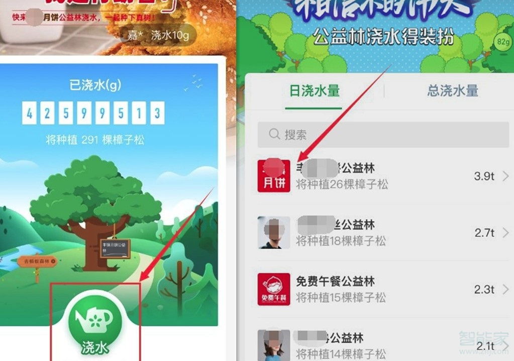 支付寶螞蟻森林怎么換樹(shù)的圖案