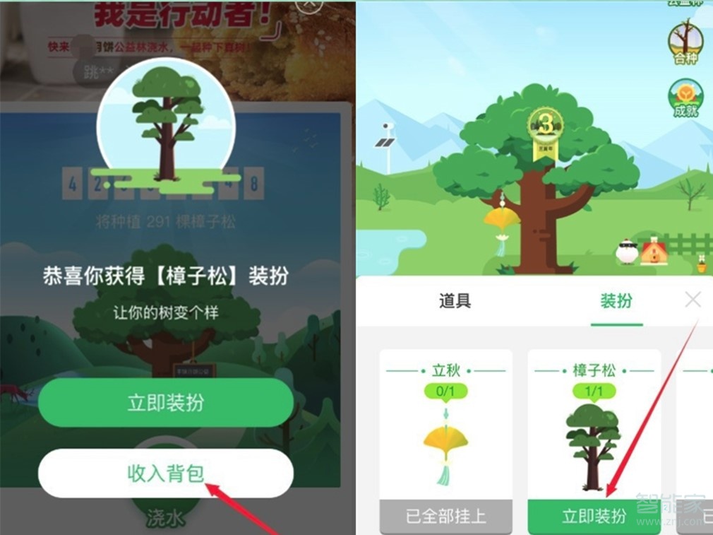 支付寶螞蟻森林怎么換樹(shù)的圖案