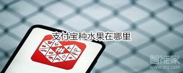 支付寶種水果在哪里