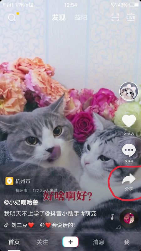 抖音全屏設置在哪