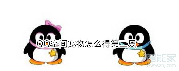 QQ空間寵物怎么得第二只