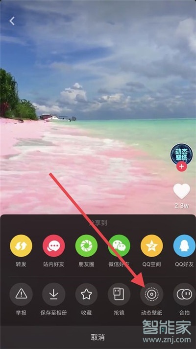 iphone11Pro怎么設置抖音動態壁紙