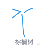 QQ畫圖紅包棕桐樹怎么畫 QQ畫圖紅包棕桐樹最簡(jiǎn)畫法分享