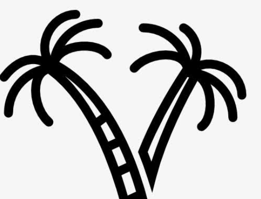 QQ畫圖紅包棕桐樹怎么畫 QQ畫圖紅包棕桐樹最簡(jiǎn)畫法分享