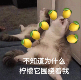 QQ一起聽歌是什么?「一起聽歌」功能開啟方法分享