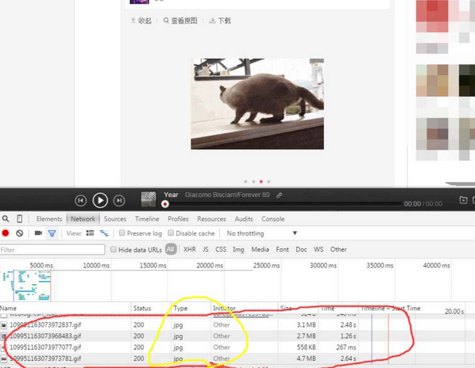 網易云音樂gif動圖怎么下載保存?下載保存gif動圖步驟分享