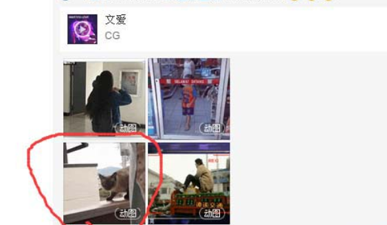網易云音樂gif動圖怎么下載保存?下載保存gif動圖步驟分享