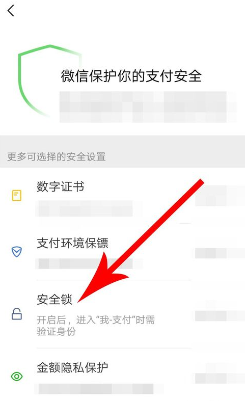 微信APP怎么設置支付安全鎖?設置支付安全鎖方法講解