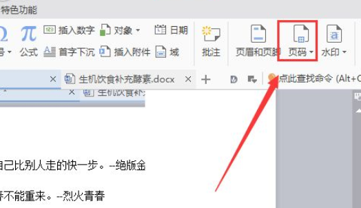 wps2007如何插入頁碼？wps2007插入頁碼圖文介紹