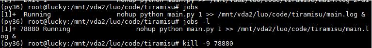 python nohup 實現遠程運行不宕機操作
