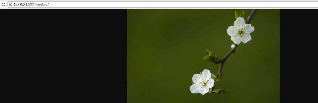 對python中各個response的使用說明