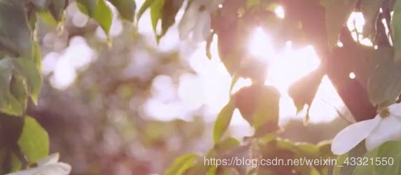 opencv python在視屏上截圖功能的實(shí)現(xiàn)