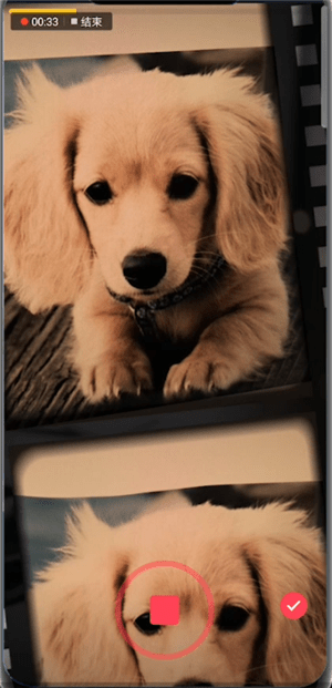 抖音APP怎么拍出四連拍特效?四連拍特效拍攝步驟一覽