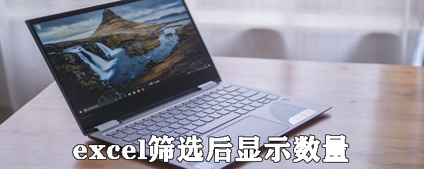 Excel怎么統計篩選后篩選的數據?統計篩選后篩選的數據方法分享