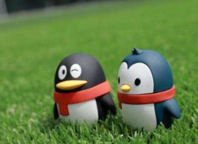 qq如何自定義5G在線狀態(tài)? qq設(shè)置5g在線狀態(tài)方法一覽