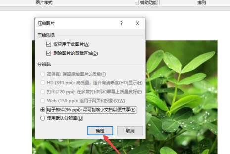 PPT壓縮插入圖片怎么操作？壓縮插入圖片方法說明