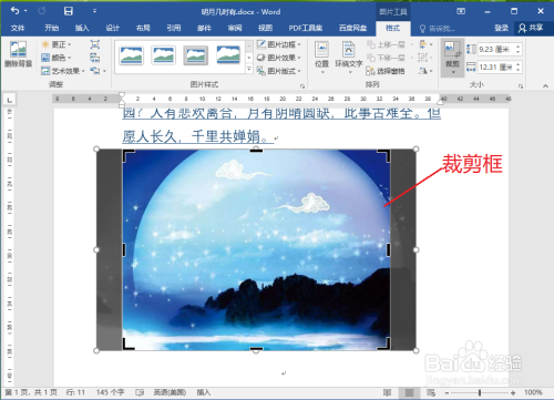 word縱橫比剪裁圖片設定方法分享