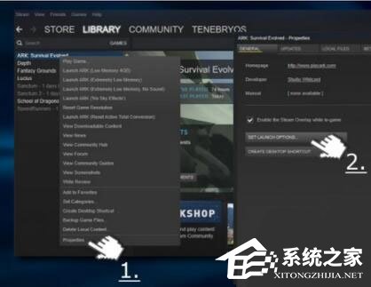 Win10玩生存進(jìn)化報(bào)錯(cuò)“視頻驅(qū)動(dòng)程序崩潰并被重置”怎么解決?